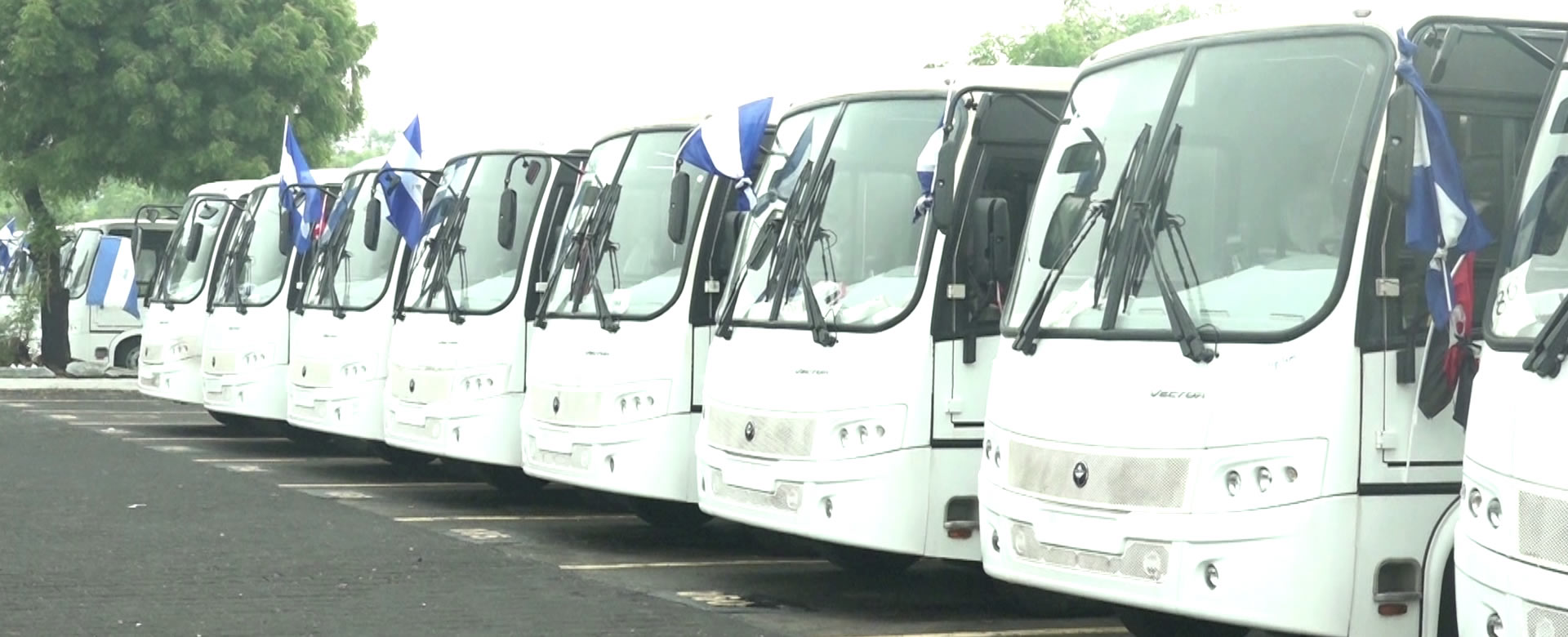 Distribuyen 55 Nuevos Buses Rusos En Diferentes Municipios